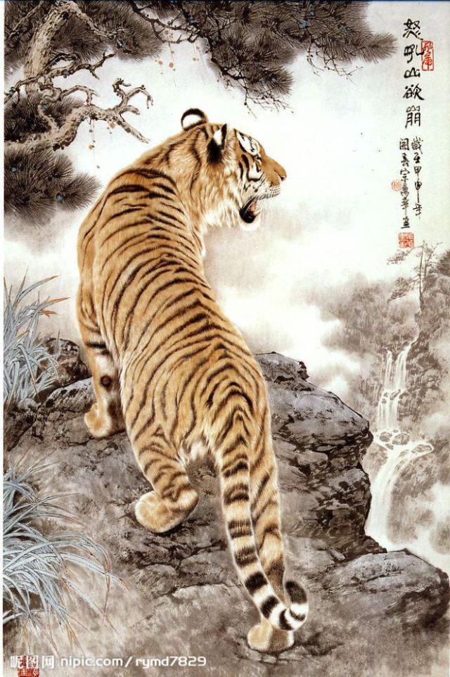 Tiger